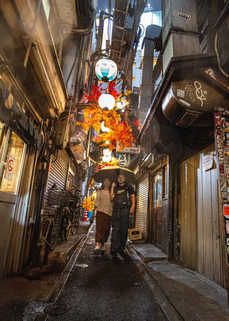Walking Omoide Yokocho