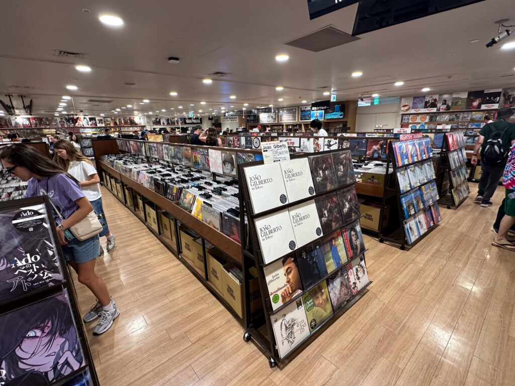 Vinyl Record section