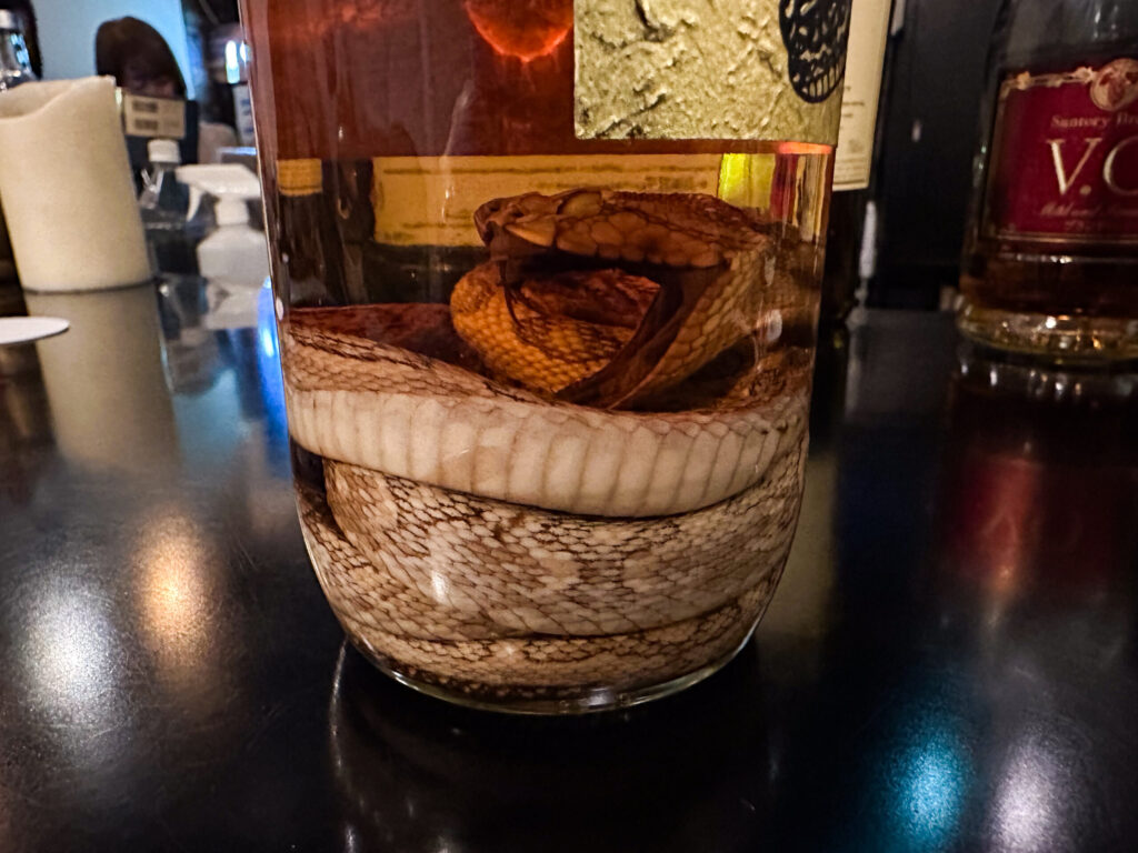 The inhabitant of the bottle 